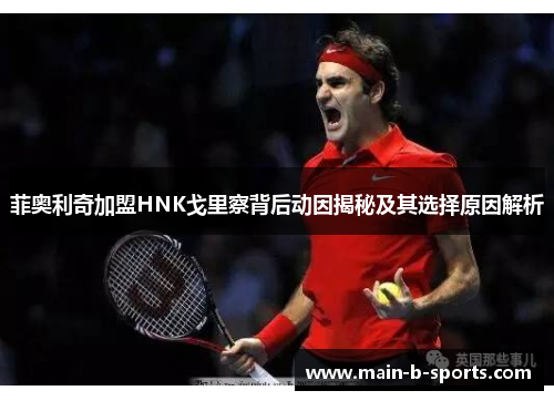 菲奥利奇加盟HNK戈里察背后动因揭秘及其选择原因解析