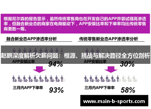 赵鹏深度解析欠薪问题：根源、挑战与解决路径全方位剖析