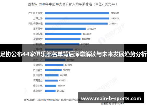 足协公布44家俱乐部名单背后深意解读与未来发展趋势分析