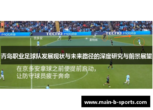 青岛职业足球队发展现状与未来路径的深度研究与前景展望