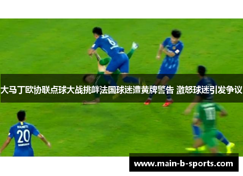 大马丁欧协联点球大战挑衅法国球迷遭黄牌警告 激怒球迷引发争议